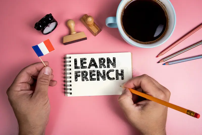 *Coming Soon in 2026* French for Beginners: Learn to Speak and Understand French Confidently